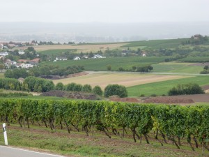 Rolling hills near Woellstein